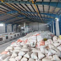 کاهش قیمت برنج طارم هاشمی هفت ستاره با تضمین پخت