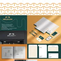 لوگو، کارت ویزیت،کاتالوگ