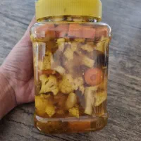 انواع ترشی، انواع رب، سبزی سرخ شده خانگی