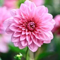 ۰۹۱۳۵۷۵۹۲۸۶شماره برای فروش ۸سال خاموش دایمی