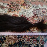 موی کات شده
