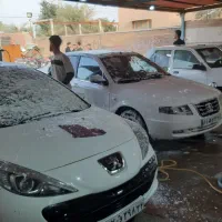 کارگر کارواش