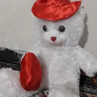 عروسک قشنگ  وارزون فقط یه تومان