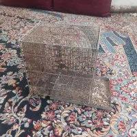 قفس مخصوص سهره  معاوضه با قناری یا عروس