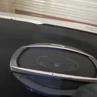 باند pioneer6967