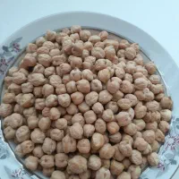 نخود پاییزه رقم منصور مخصوص بذر