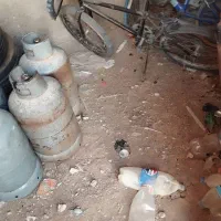 دوچـرخ 20