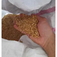 کشت جو داری احتمالاً با این مشکلات روبه‌رو شده‌اید
