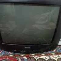 تلویزیون