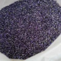 گل گاوزبان محلی درجه یک