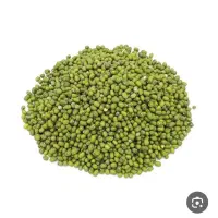 ماش ارتشی ومحلی درجه یک