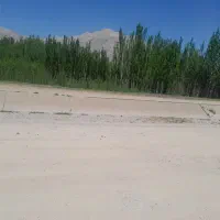 کشاورزی