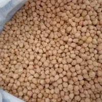 فروش نخود دیم کرمانشاه ، درجه یک