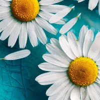 سیم کارت کد ۱