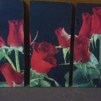 تابلو دیواری ۳ تیکه