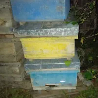 فروش جعبه زنبورعسل