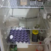 یخچال دو در آزمایش