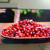 خرید فروشنده خریدار ال ای دی اسپیکر 50 55 65سراسری