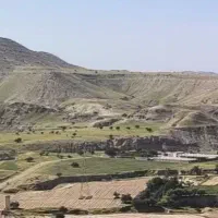 زمین کشاورزی