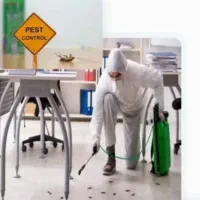 سمپاشی منازل و ادارات «بندر زیبا» تضمینی