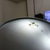 قالپاق پیکان