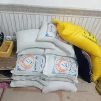 برنج سر گل استخانی