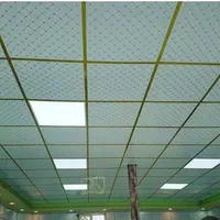 سقف کاذب کناف  سقف۶۰  در۶۰  رنگ امیزی