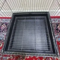 قفس پرنده
