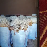 فروش لحاف بالش پتو