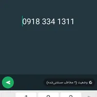 09183341311