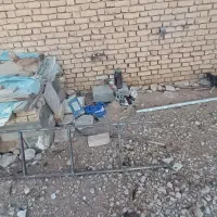 مرغ وخروس