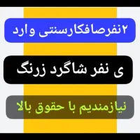 استخدام صافکار سنتی وارد باحقوق بالا
