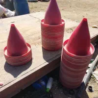 دان خوری مرغ و خروس به بهترین ۱۰۰ عدد