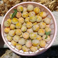 آلو زرد|خوردنی و آشامیدنی|مرودشت, ثبت احوال|دیوار