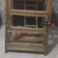 قفس چوبی