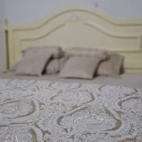 رو تختی دو نفره طرح مخمل شیک