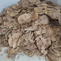 نون خشک