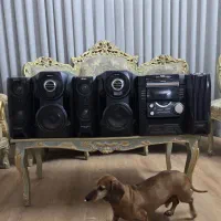 ظبط سونی ژاپن اصل