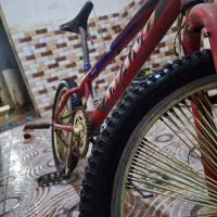 دوچرخه حرفه ای