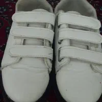 کفش چسبی