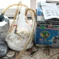 تصفیه سطلی آکواریوم RS76EIectricaIیووی دار ضد قارچ