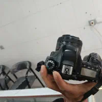 canon 80d|دوربین عکاسی و فیلم‌برداری|نقده, |دیوار