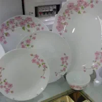 ارکوپال سرویس و فله