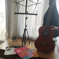 گیتار هافنر با کلیه لوازم