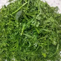 سبزیجات