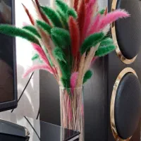 گل خشک دکوری رنگی