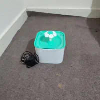 لوازم گربه