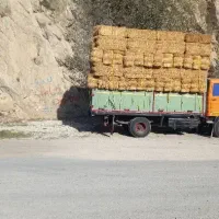 اتاق عقب خاور