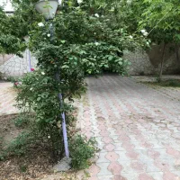 اجاره-مسکونی-ویلایی