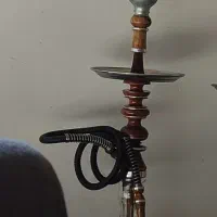قلیان زرد رگه دار